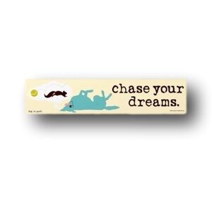 Chase Your Dreams Decorative Sign